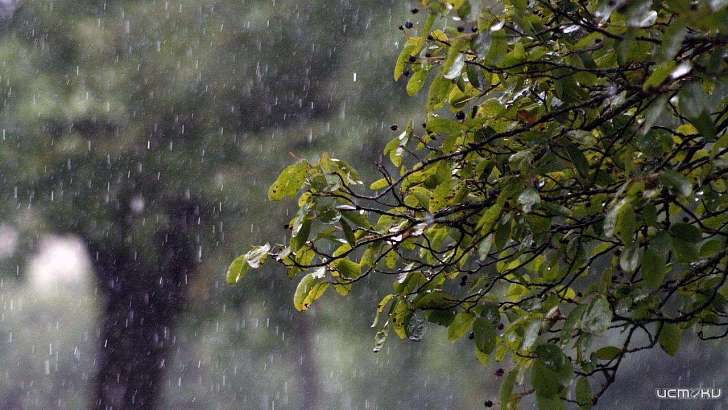 Орел продолжают атаковать дожди и ветер