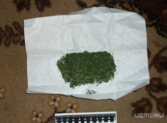 У жителя Новодеревеньковского района нашли марихуану