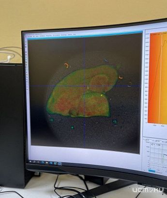 Орловские ученые получили грант на инновационные разработки