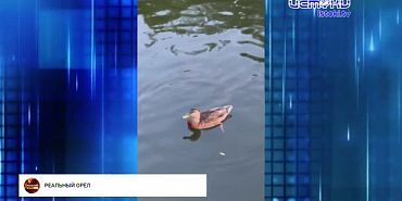 "Благоустройства" как выглядит дорожка рядом с корпусами завода УВМ