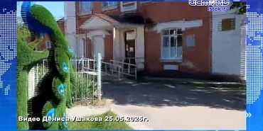 На клумбах Орла высадят 360 тысяч цветов. Экспресс - новости.