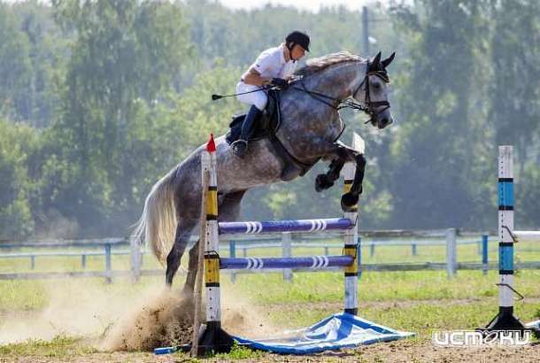 В воскресенье в Ледно состоится Кубок Черноземья по конкуру