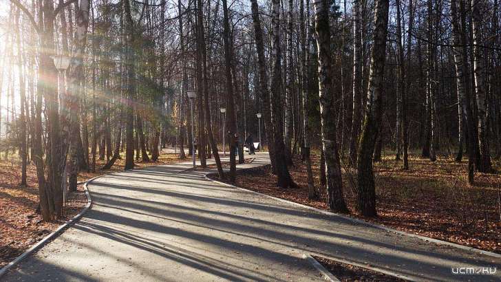 Весна в декабре: сегодня в Орле будет солнечно и морозно