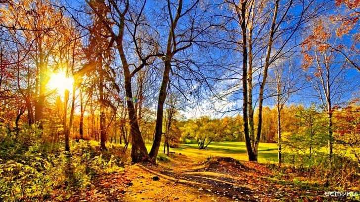 14 октября в Орле будет самым теплым днем в этом месяце