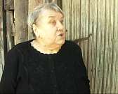 На улице Розы Люксембург спилили опасный тополь