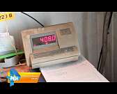 В Орле уничтожили три тонны санкционных томатов