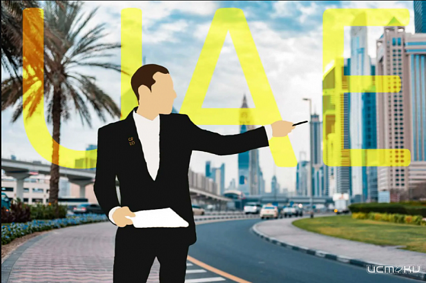 Какие виды компаний можно открывать в Эмиратах?