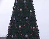 Новости за 90 секунд: Елка за миллион, рекордные осадки, работники уходят в тень