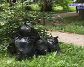 Все в бурьяне и лопухах: орловские скверы остаются в запустении из-за нехватки денег Все в бурьяне и лопухах: орловские скверы остаются в запустении из-за нехватки денег