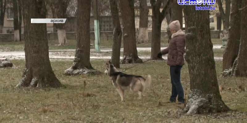 Клычков рассказал о коронавирусе в прямом эфире, а водители орловских маршруток продолжают курить за рулем