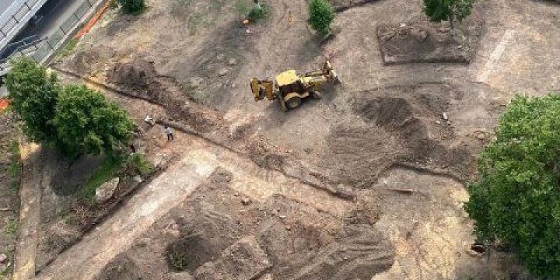 «Обещали сохранить, а вырубили»: в центре Орла исчезли кусты можжевельника возле ЦУМа
