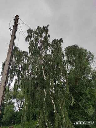 Из-за дождя и сильного ветра орловчане остались без света
