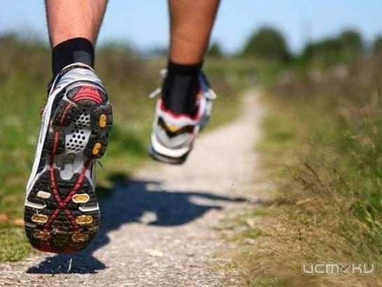 Орловские легкоатлеты завоевали 14 медалей Первенства ЦФО