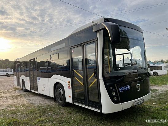 "Снова подсматриваем за соседями". И молча завидуем новенькому транспорту, который появляется в Брянске