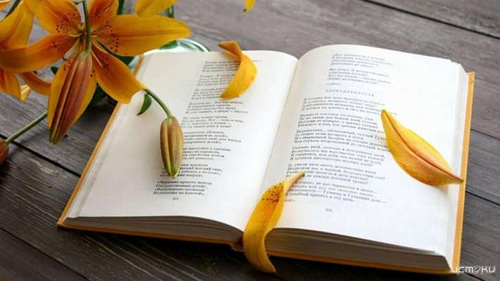 Орловских поэтов приглашают записать ролики на конкурс «Золото русской литературы»