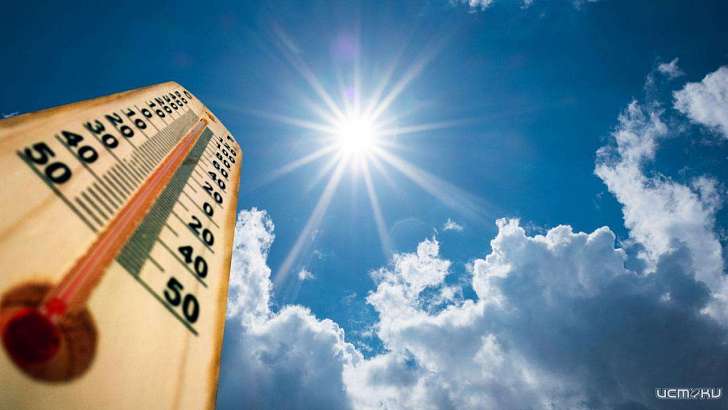 Выше +30 °C: в Орле среда будет самым жарким днем на этой неделе