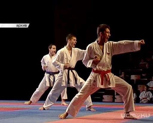 В ближайший уикенд Орёл превратится в столицу боевых единоборств 