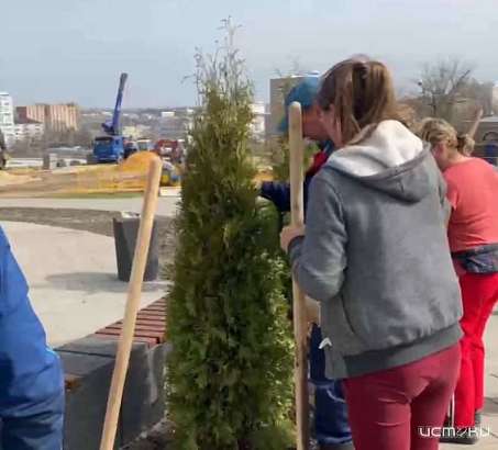 В Орле стартовала пора озеленения города