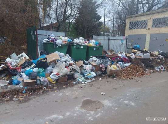 За мусорный коллапс "Зелёная роща" заплатила 1,6 млн рублей