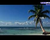 На чиновников завели уголовные дела из-за долгов за питание школьников, а накануне в Орле прошел «Олимпийский бал»