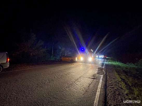 Осторожно, лось: под Орлом «Лада» сбила животное и врезалась во встречное авто