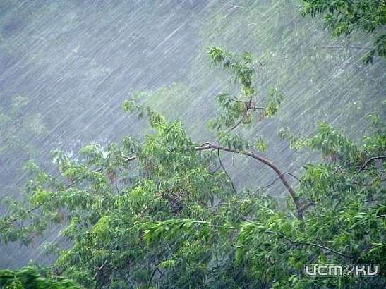 На Орловщину обрушатся вновь шквалистый ветер и дожди На Орловщину обрушатся вновь шквалистый ветер и дожди