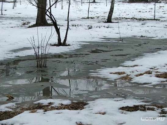 Непредсказуемая весенняя погода. Что ждет нас на улице в ближайшее время?
