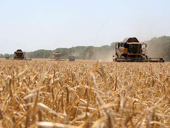 Особенности банкротства сельскохозяйственных предприятий