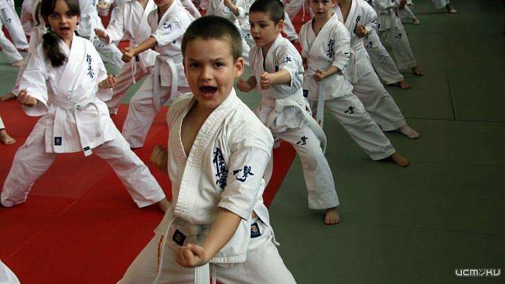 В Орле пройдёт межрегиональный турнир по киокусинкай