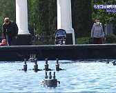 Назад к привычной жизни: что меняется в Орле и как горожане относятся к послаблению ограничений