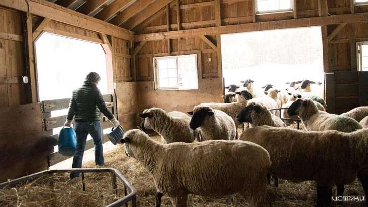 На Орловщине откроют «Школу фермера»