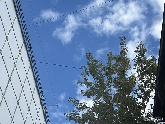 На Орловщине прогнозируют неблагоприятную погоду