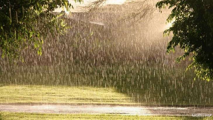 Сегодня в Орле ожидается переменная облачность и дожди