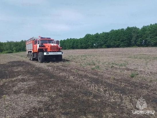 На Орловщине — 3 класс пожарной опасности: спасатели отработали шесть выездов за сутки