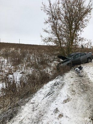 На Орловщине автомобилист с двумя пассажирками съехал с трассы и врезался в дерево