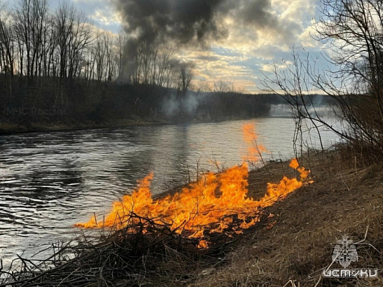 На Орловщине зафиксированы первые случаи горения сухой травы 
