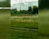 В Орловской области прошел смерч. Видео
