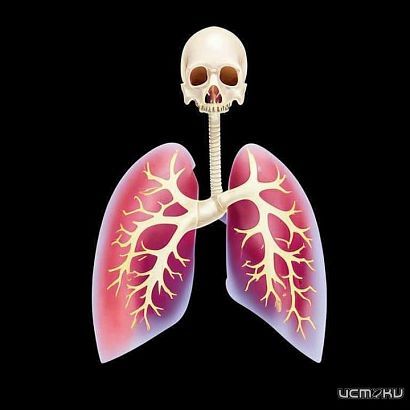 Орловский медик советует жителям региона как бросить курить