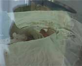 Верь не болезни, а врачу! Высокотехнологичные операции возвращают людей к полноценной жизни