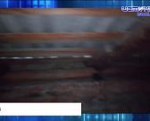 Мэр Мценска Кочетаев уволен в отставку. Экспресс - новости