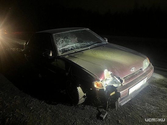 Трагедия под Орлом: машина насмерть сбила пешехода