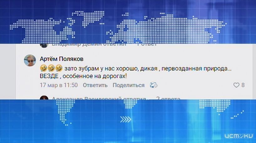 Зато зубрам у нас хорошо. Экспресс - новости.