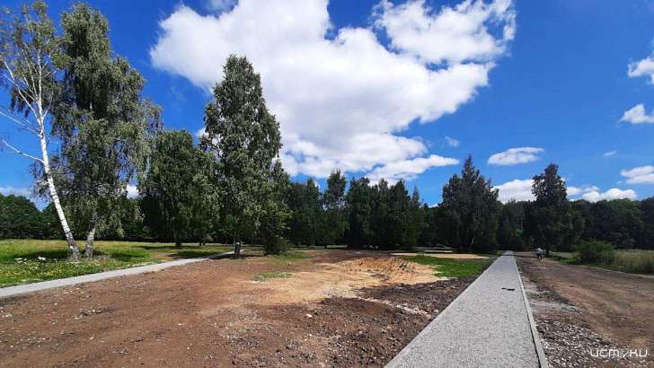 В Орле избавились от медлительного подрядчика, работавшего в Медведевском лесу