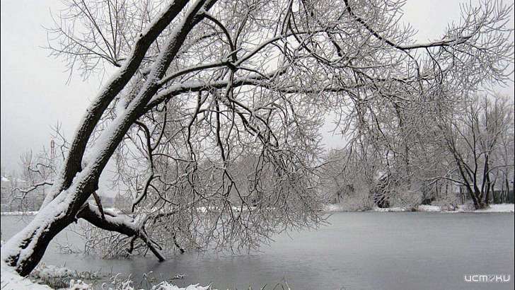 Сегодня в Орле будет облачно и небольшой снег