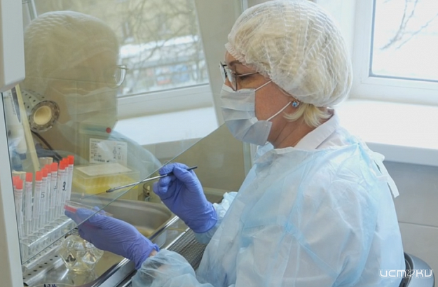 Сколько проб мясной продукции было исследовано с начала года на Орловщине и что показали результаты?