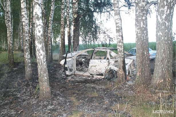 На трассе Орловщины загорелся «Форд» после того, как врезался в березу