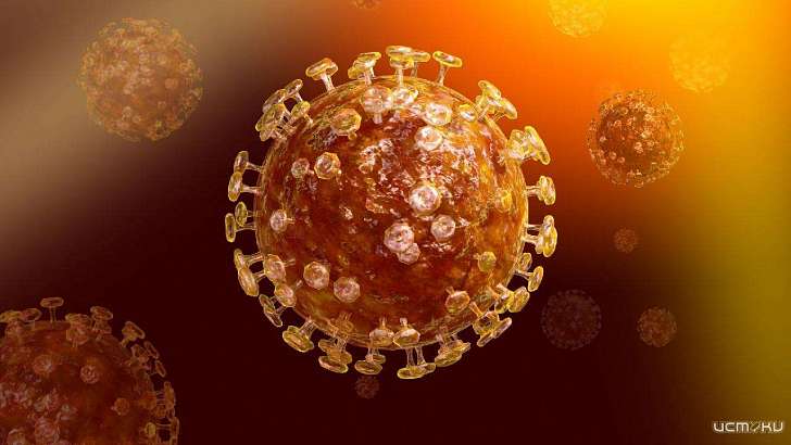 За сутки еще у 41 человека в Орловской области нашли коронавирус