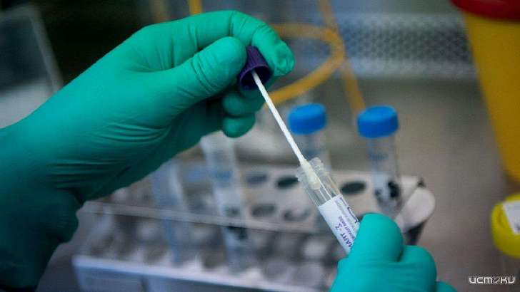 «Тестирование для здоровых людей»: где орловчан проверят на коронавирус