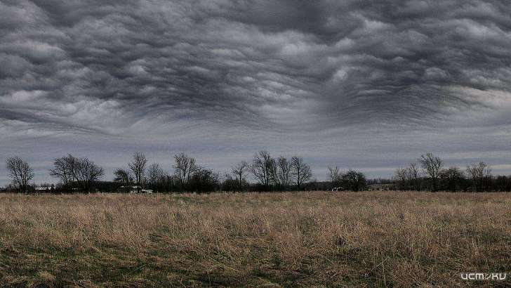 29 марта в Орле будет пасмурно и сухо