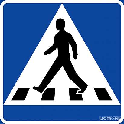 Орловчанка, сбитая на «зебре», отсудила у водителя 30 тысяч вместо 200